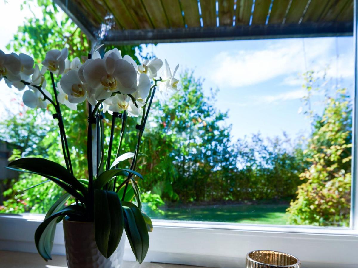 Nice Flat With Sauna Covered Terrace Garden And Tree House For Children Zandt Exterior foto